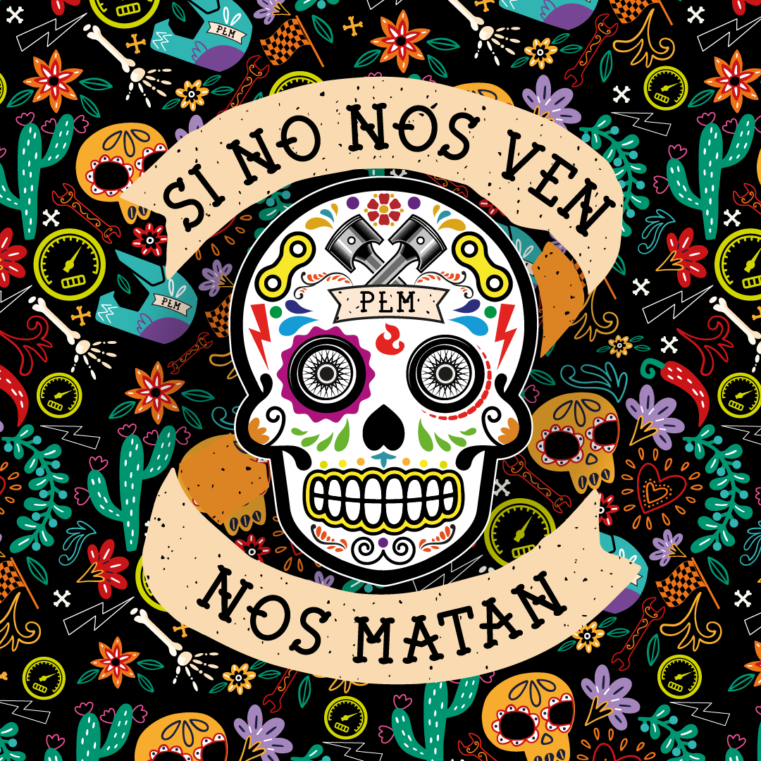 EBOOK: LAS 8 CLAVES PARA NO MORIR EN MOTO