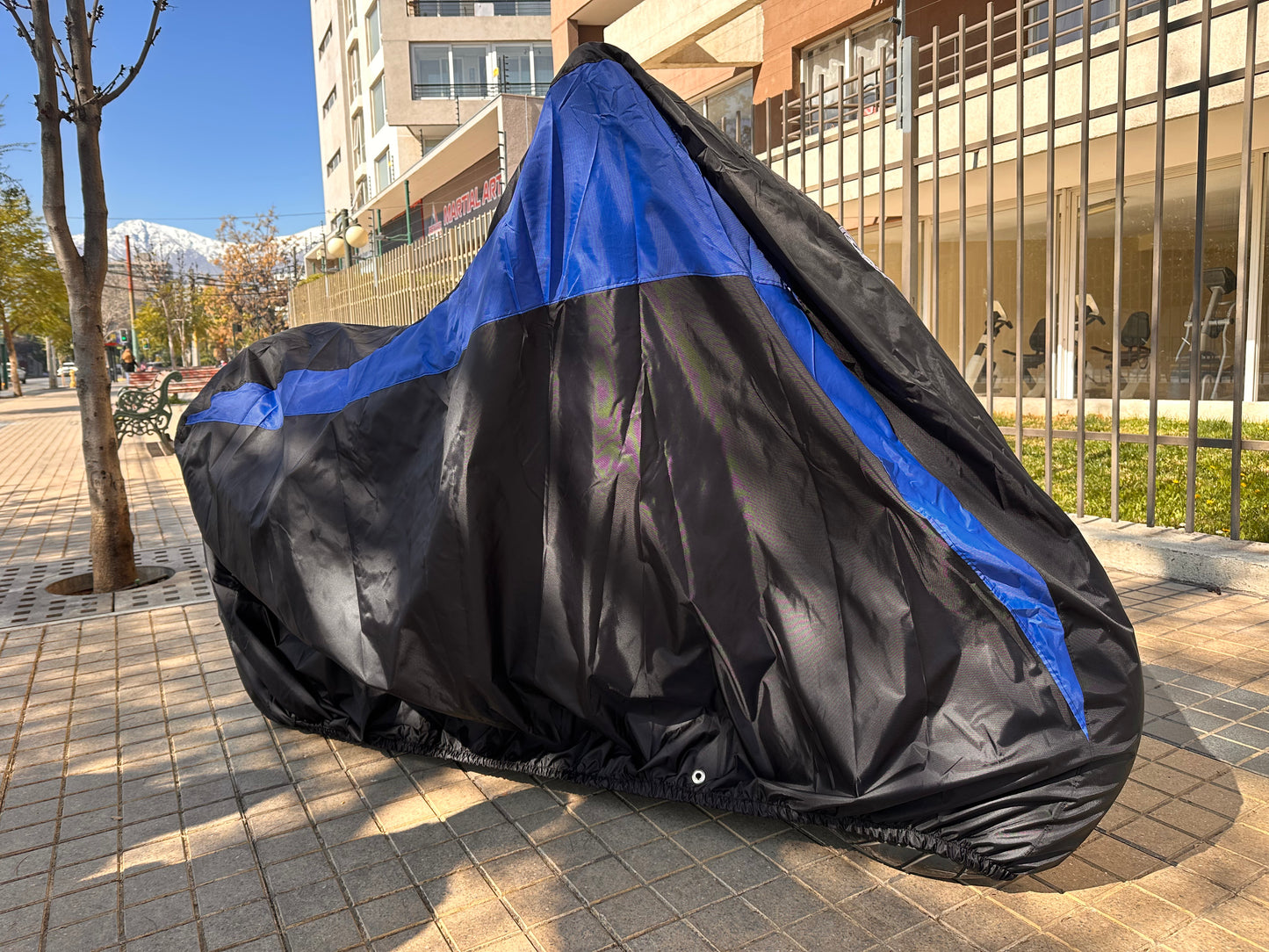 3.- CARPA PARA MOTO